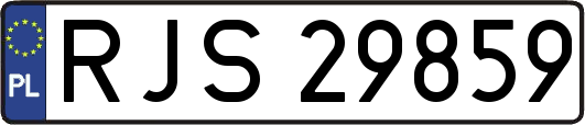 RJS29859