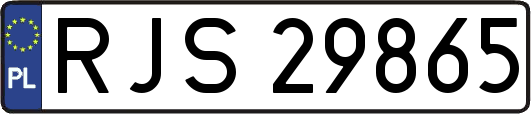 RJS29865