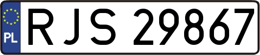 RJS29867