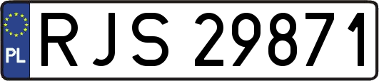 RJS29871