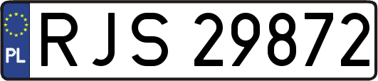 RJS29872