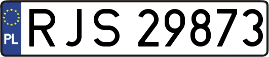 RJS29873