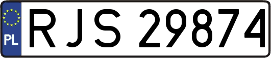 RJS29874