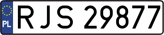 RJS29877