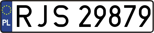 RJS29879