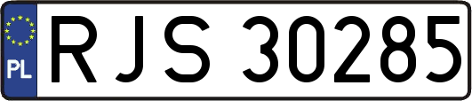 RJS30285