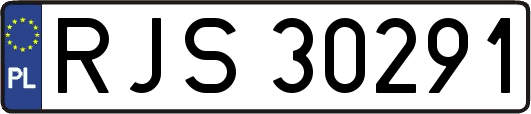 RJS30291