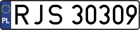 RJS30309