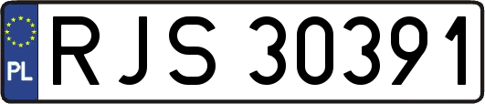RJS30391