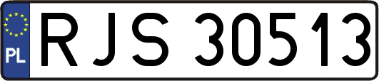 RJS30513
