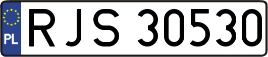 RJS30530