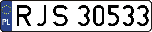 RJS30533