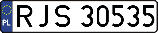 RJS30535
