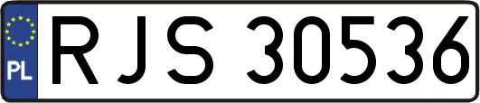 RJS30536