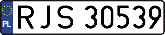 RJS30539