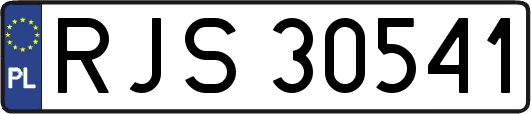 RJS30541