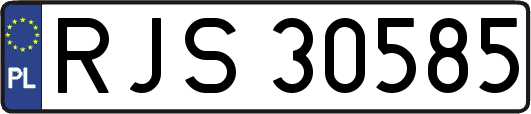 RJS30585