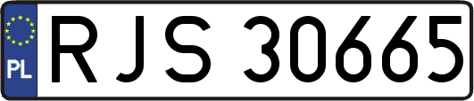 RJS30665