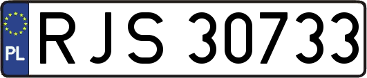 RJS30733