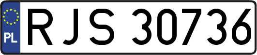 RJS30736