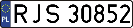 RJS30852