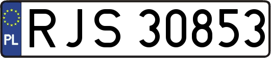 RJS30853