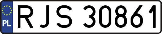 RJS30861