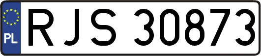 RJS30873