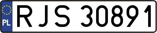 RJS30891