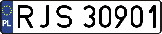 RJS30901