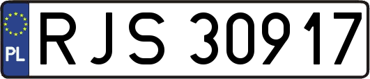 RJS30917