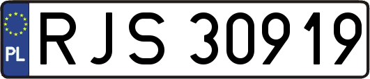 RJS30919