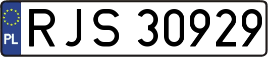 RJS30929