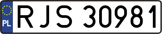 RJS30981