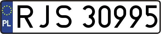 RJS30995