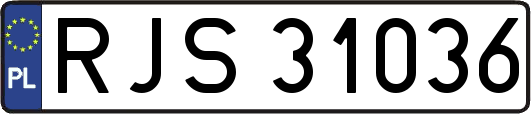 RJS31036