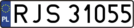 RJS31055