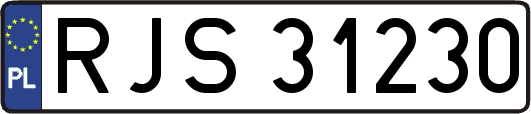 RJS31230