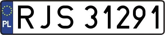 RJS31291