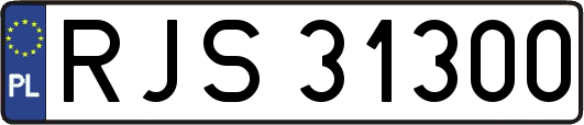 RJS31300