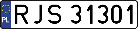 RJS31301