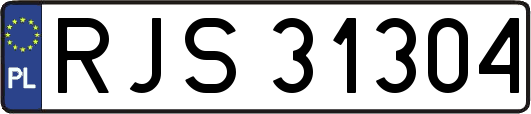 RJS31304