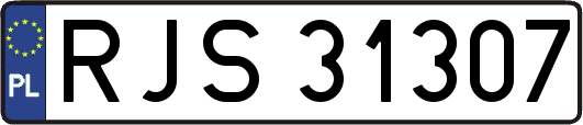 RJS31307