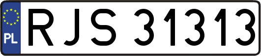 RJS31313