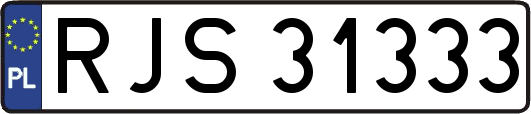 RJS31333