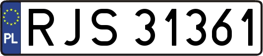 RJS31361