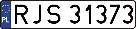 RJS31373