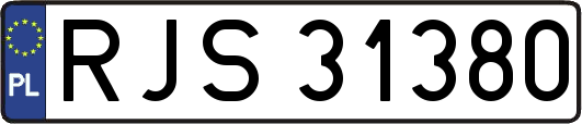 RJS31380