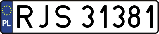 RJS31381