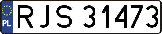 RJS31473